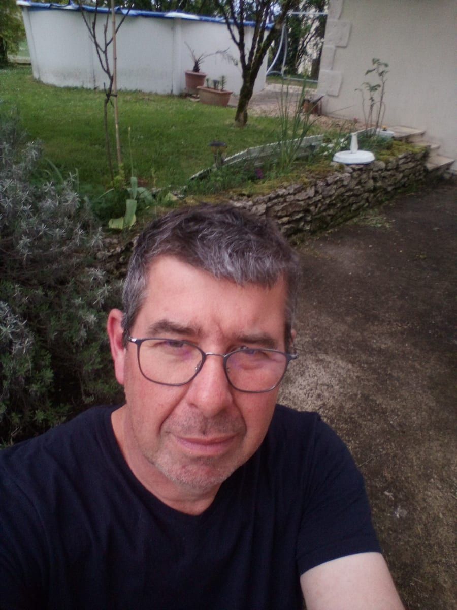Profil von Ness